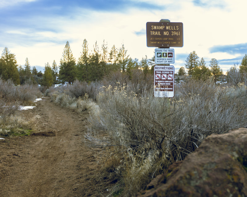 Wooden Swamp Wells Trail sign with share the trail and restriction signs and the trail weaving through sagebrush