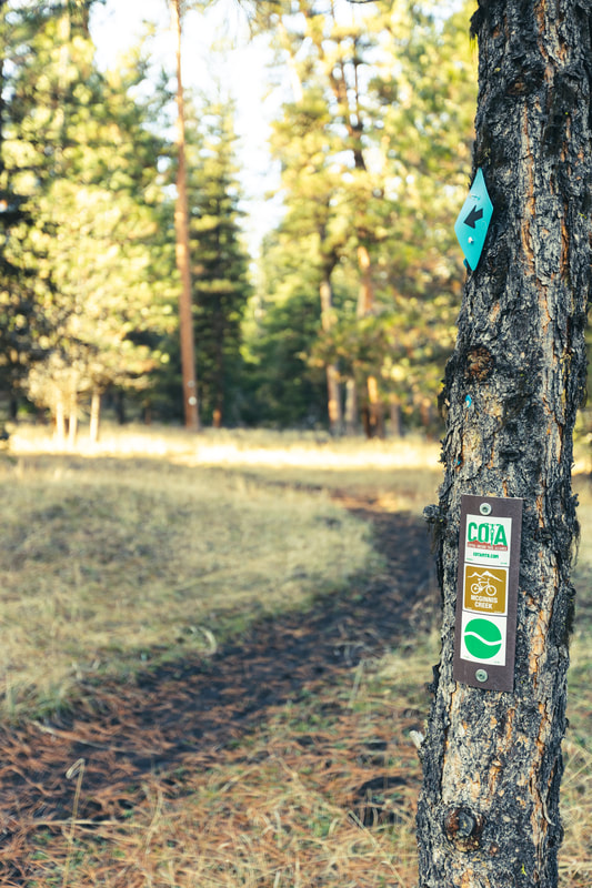 McGinnis Creek trail sign posted to a tree