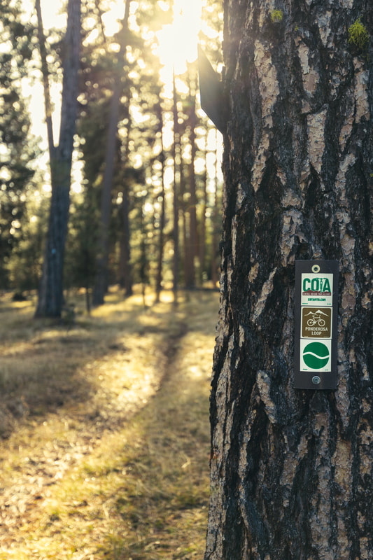 Ponderosa Loop trail sign on a ponderosa pine 