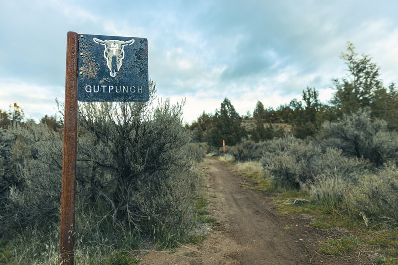 Metal Gut Punch trail with cow skull sign 