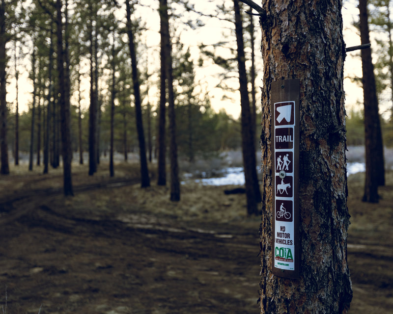 A "Trail" sign with a "this way arrow," trail user pictures, and no motorized vehicles posted to a tree with the trail weaving through some sparse ponderosa pines 