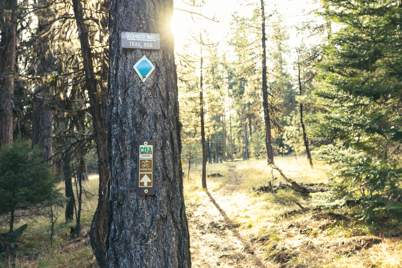Ochoco Way Trail sign posted to a tree