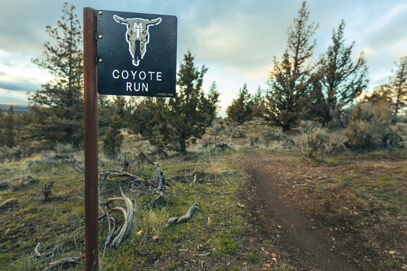 Coyote Run trail with cow skull sign